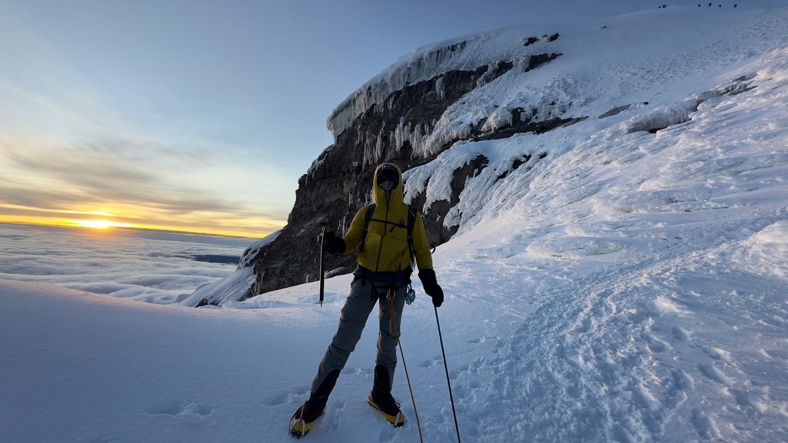 Adjustable Trekking Pole - Image 2